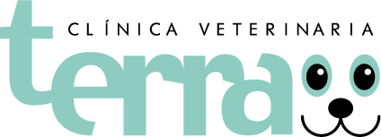 Clinica Veterinaria Terra Vilareal